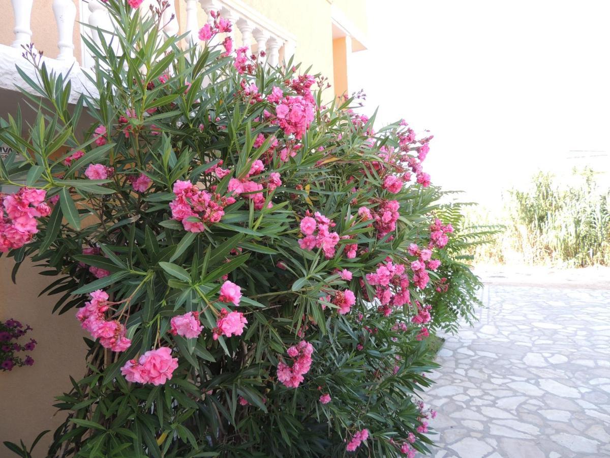 פג Apartman Husic מראה חיצוני תמונה