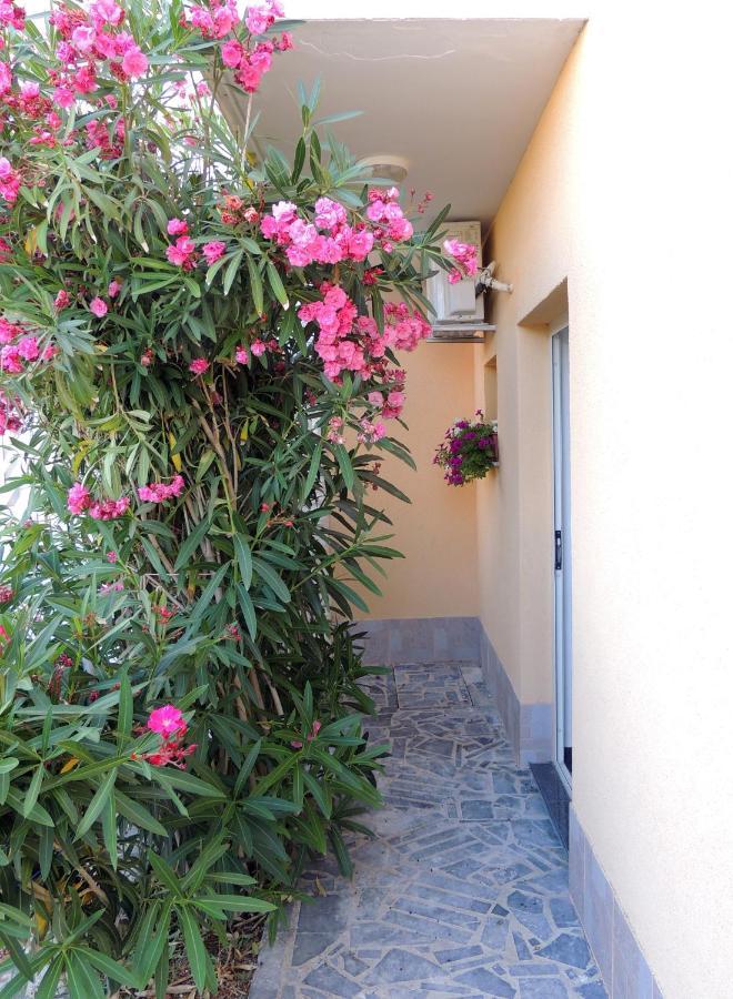 פג Apartman Husic מראה חיצוני תמונה