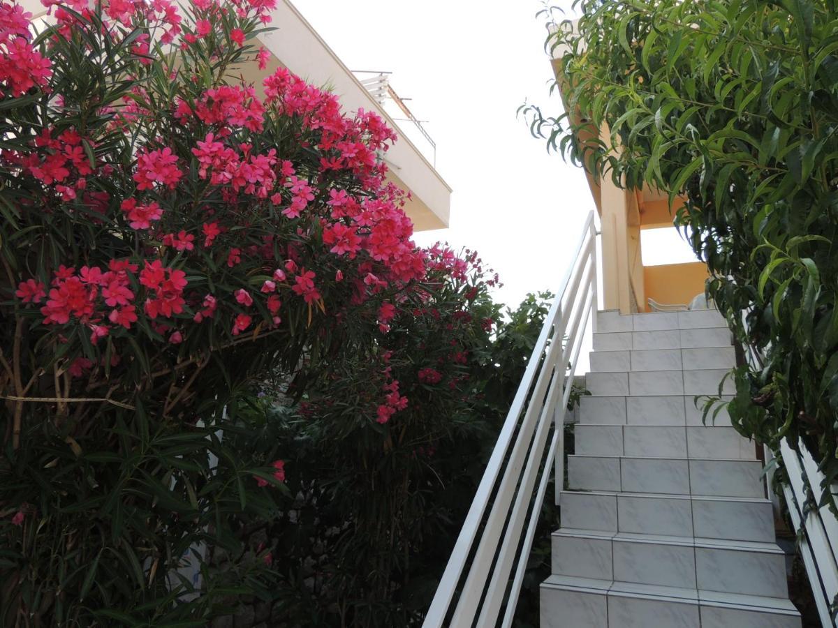 פג Apartman Husic מראה חיצוני תמונה